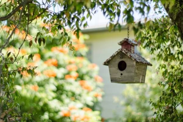 security camera concealed inside a birdhouse outdoors